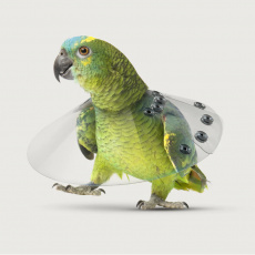 Saf-T-Shield™ Collar pro ptáky
