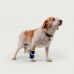 Balto Carpal Joint Brace