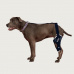 Balto Jump Knee Brace Levá