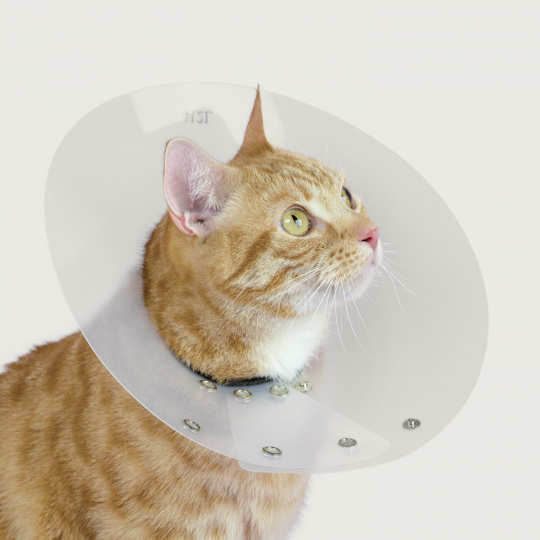 Saf-T-Shield™ Collar pro kočky a malá zvířata
